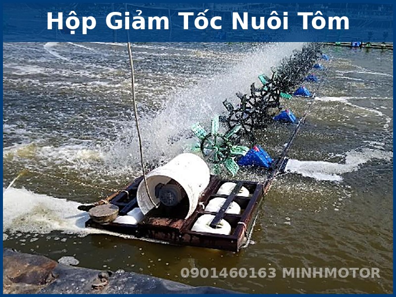 Hộp Giảm Tốc Nuôi Tôm: Tỉ Số, Mô-men, Cách Chọn Hộp Số Quạt Nước