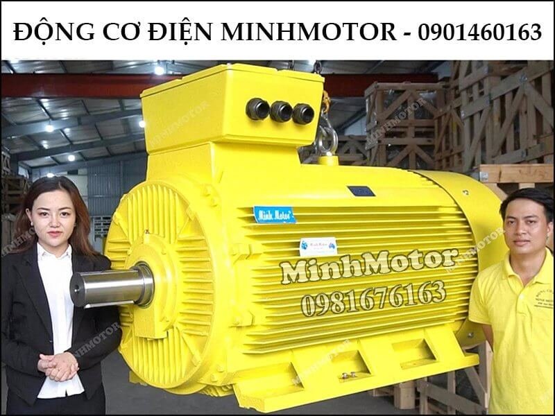 Motor điện công suất lớn