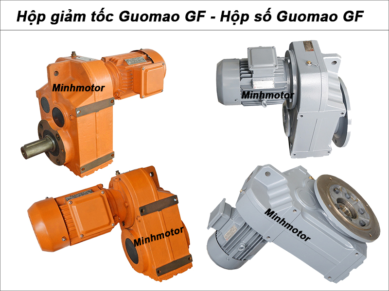 Hộp số Guomao liền motor GF
