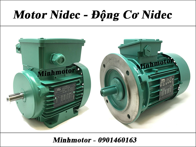Motor Nidec điện 3 pha