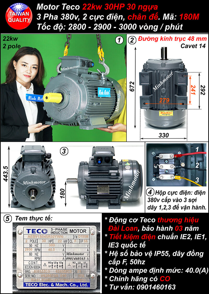 Motor Teco 22Kw - Động Cơ Teco 30Hp - Động Cơ Điện Teco 22 Kw Đài Loan