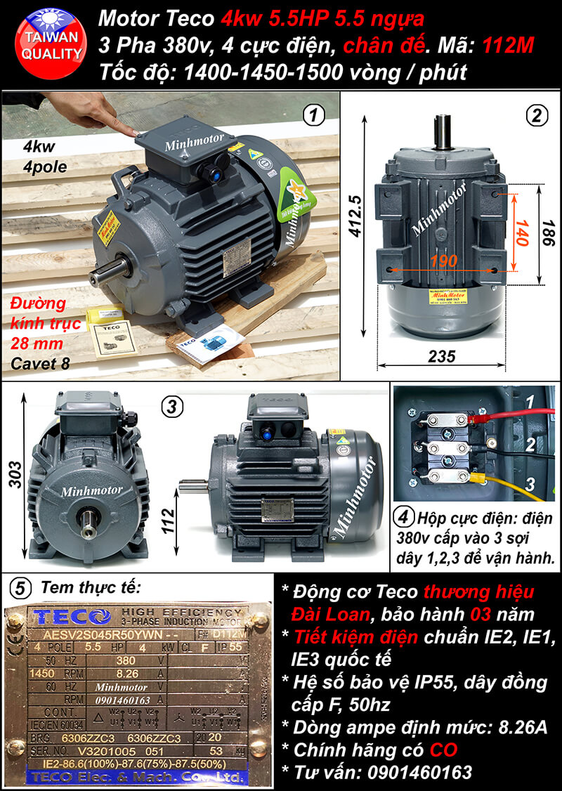 Motor Teco 1Hp AESV 80M chân đế 4 pole IE2