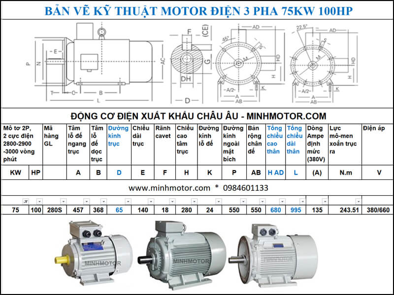 Thông số kĩ thuật bản vẽ động cơ điện 100Hp 75Kw 2 Cực điện