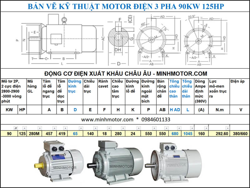 Thông số kĩ thuật bản vẽ động cơ điện 125Hp 90Kw 2 Cực điện