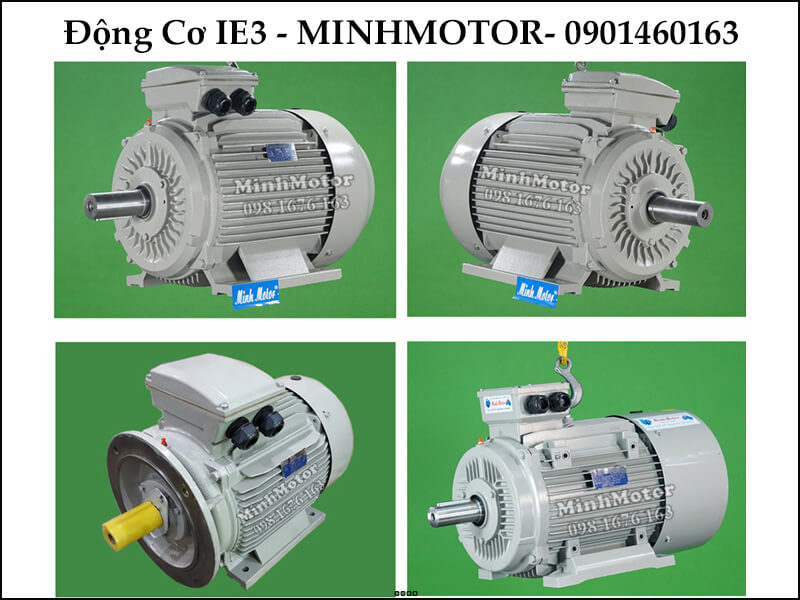 Motor IE3 150Hp 110Kw 6 cực điện