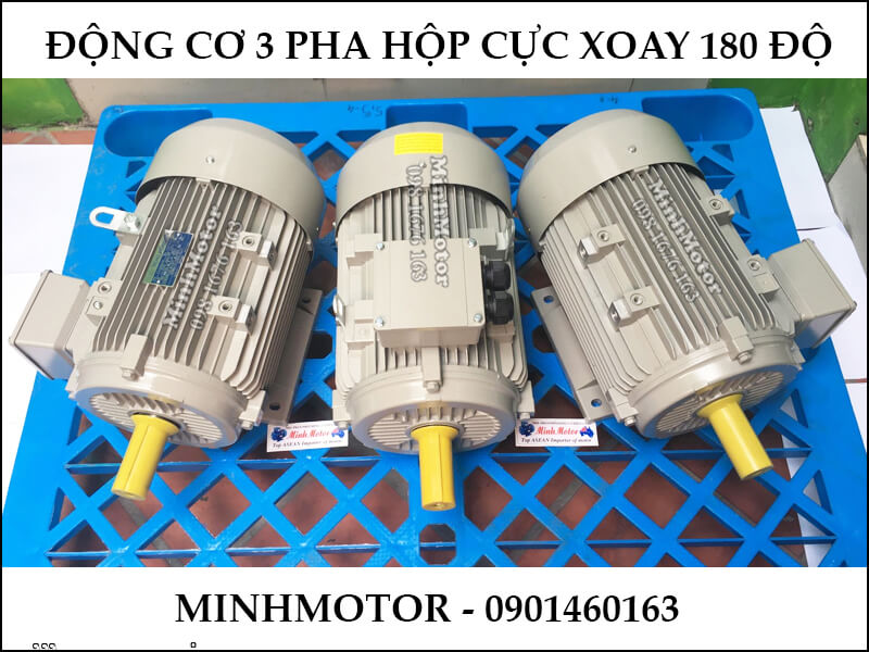 Động Cơ Điện 3 Pha 1Hp 0.75Kw 2 Cực Điện xoay 180 độ
