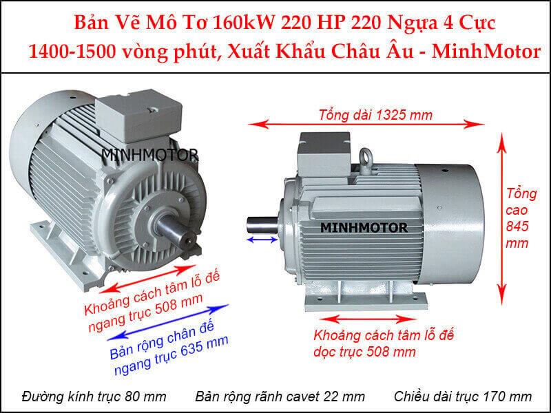 động cơ điện Parma Minhmotor 160kw 220hp 4 cực