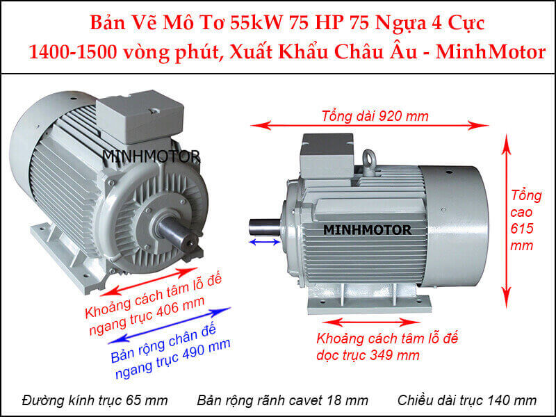 động cơ điện Parma Minhmotor 55kw 75hp