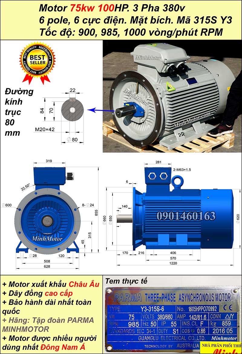 Motor điện ABB 75kw 100hp 6 cực mặt bích