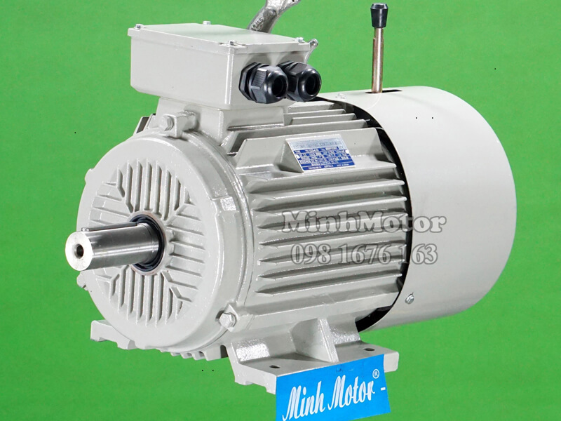 Động cơ phanh thắng 11kw 15HP 15 ngựa
