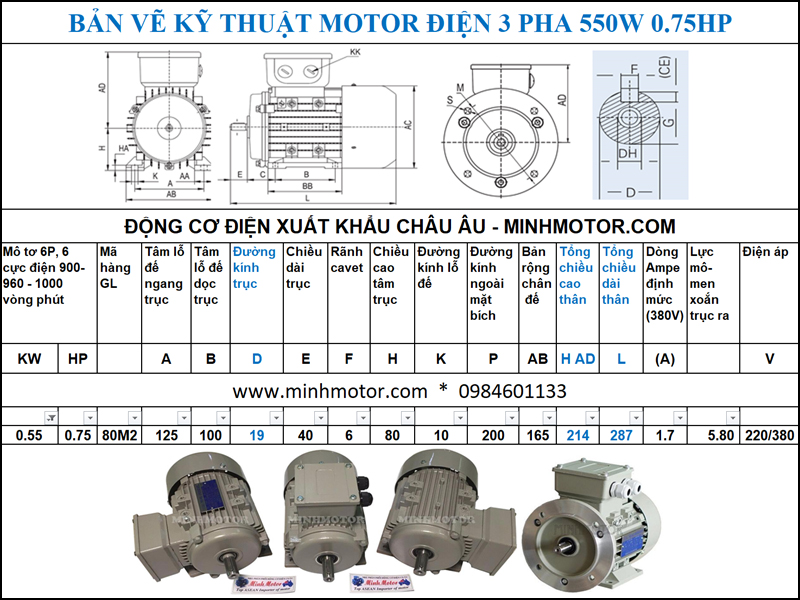 Bản vẽ cataloge Động Cơ Điện 3 Pha 0.75HP 0.55Kw 6 Cực