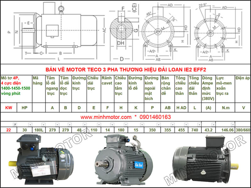 Bản vẽ kỹ thuật motor Teco 22kw 30HP 4 cực điện