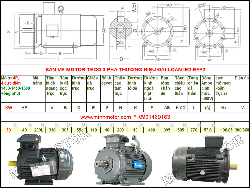 Bản vẽ kỹ thuật motor Teco 30kw 40HP 4 cực điện