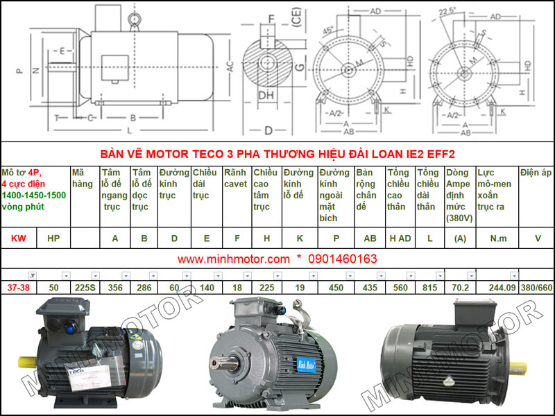 Bản vẽ kỹ thuật motor Teco 37kw 50HP 4 cực điện