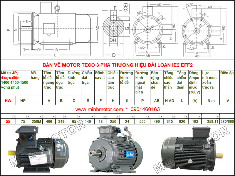 Bản vẽ kỹ thuật motor Teco 55kw 75HP 4 cực điện