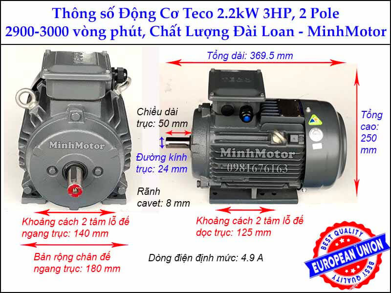 motor Teco 2.2kw 3HP 2 cực điện