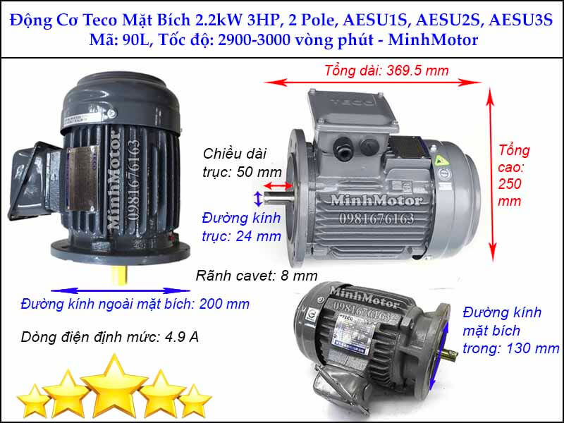 Bản vẽ thiết kế motor Teco 2.2kw 3HP 2 cực điện