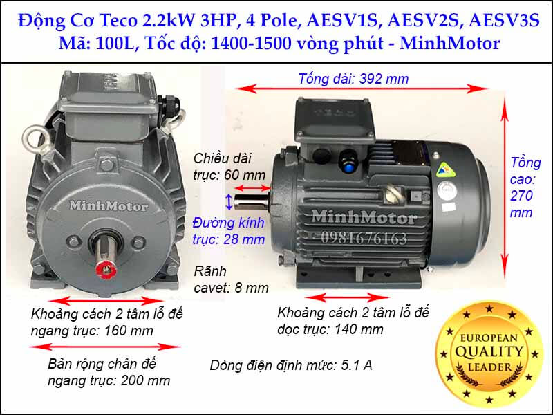 Bản vẽ kỹ thuật motor Teco 2.2kw 3HP 4 cực điện