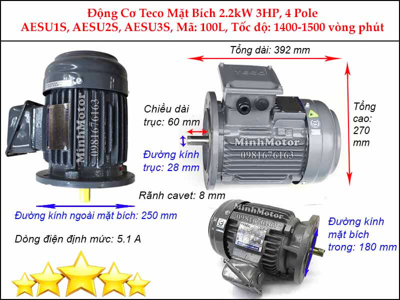 Bản vẽ kỹ thuật motor Teco 2.2kw 3HP 4 cực điện