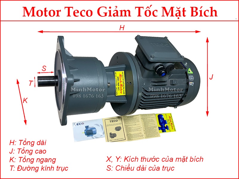 motor teco mặt bích