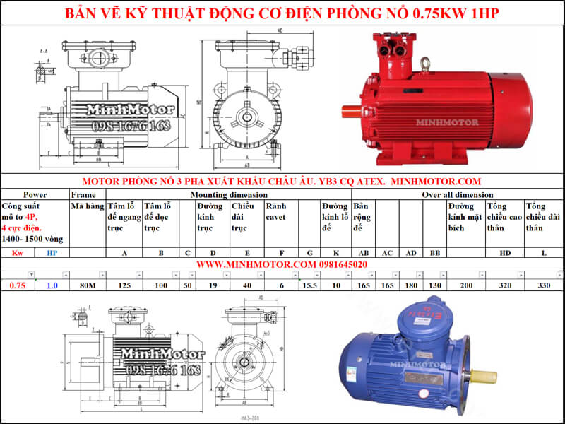 Bản vẽ motor phòng nổ chân đế 0.75kw 1HP