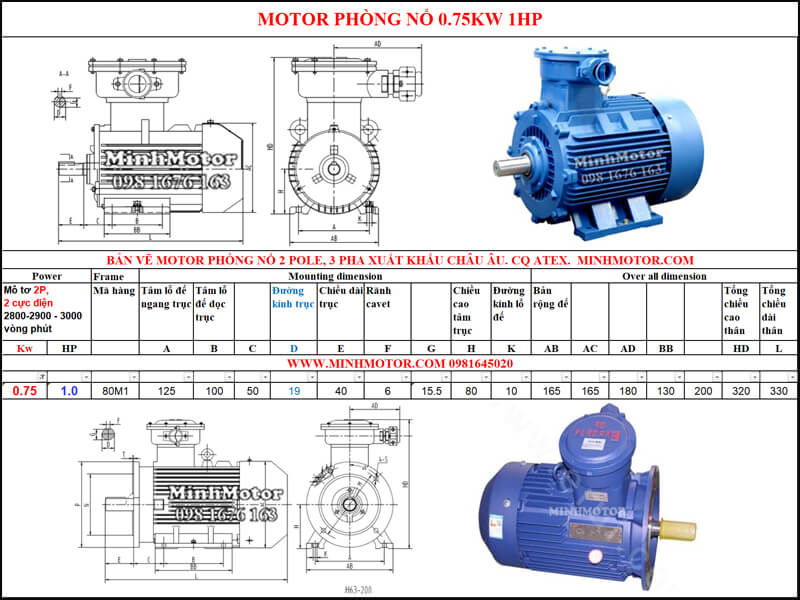 Thông số Động Cơ Điện Phòng Nổ 0.75kw 2 cực 2 Pole 2900 vòng/phút