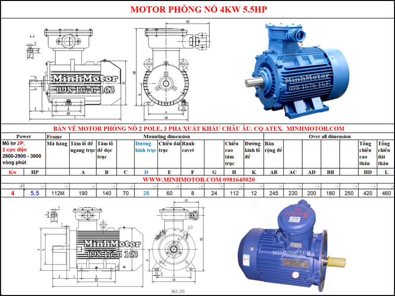 Thông số Động Cơ Điện Phòng Nổ 4kw 2 cực 2 Pole 2900 vòng/phút