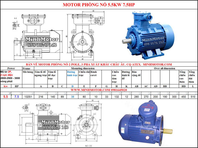 Thông số Động Cơ Điện Phòng Nổ 5.5kw 2 cực 2 Pole 2900 vòng/phút
