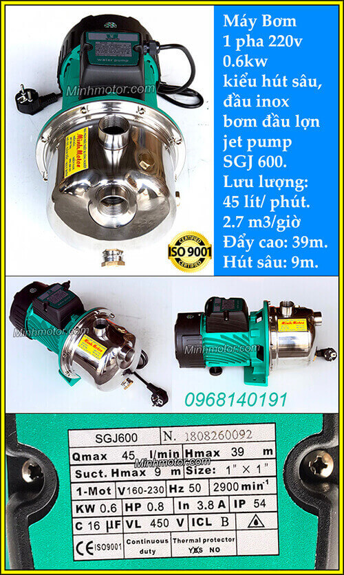 Máy bơm 0.75hp kiểu hút sâu đầu Inox SGJ600