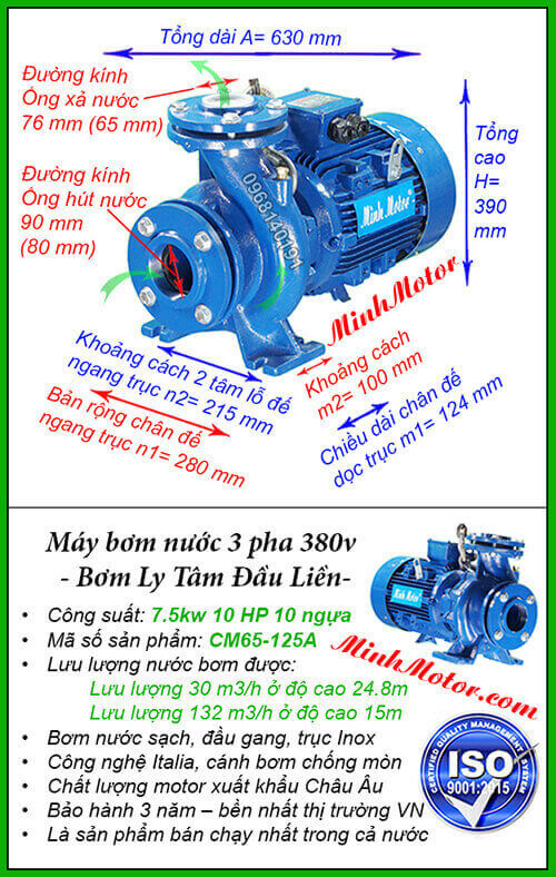 Máy bơm 3 pha 7.5kw CM65-125A hút 132 mét khối, đẩy cao 24.8 mét