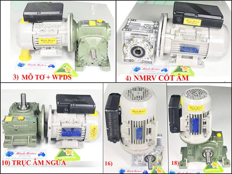 Động cơ giảm tốc 1 pha 1 ngựa, cốt ra vuông góc với cốt vào