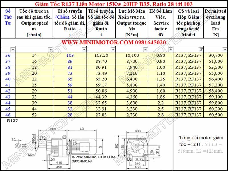 Bản Vẽ kỹ thuật Động Cơ Giảm Tốc 20HP 15KW R137