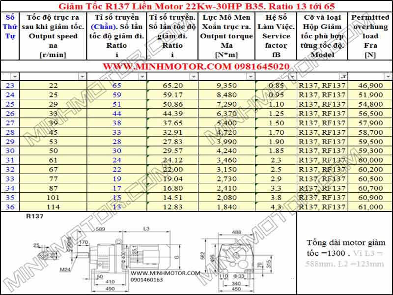 Động cơ giảm tốc 22Kw 30HP R137
