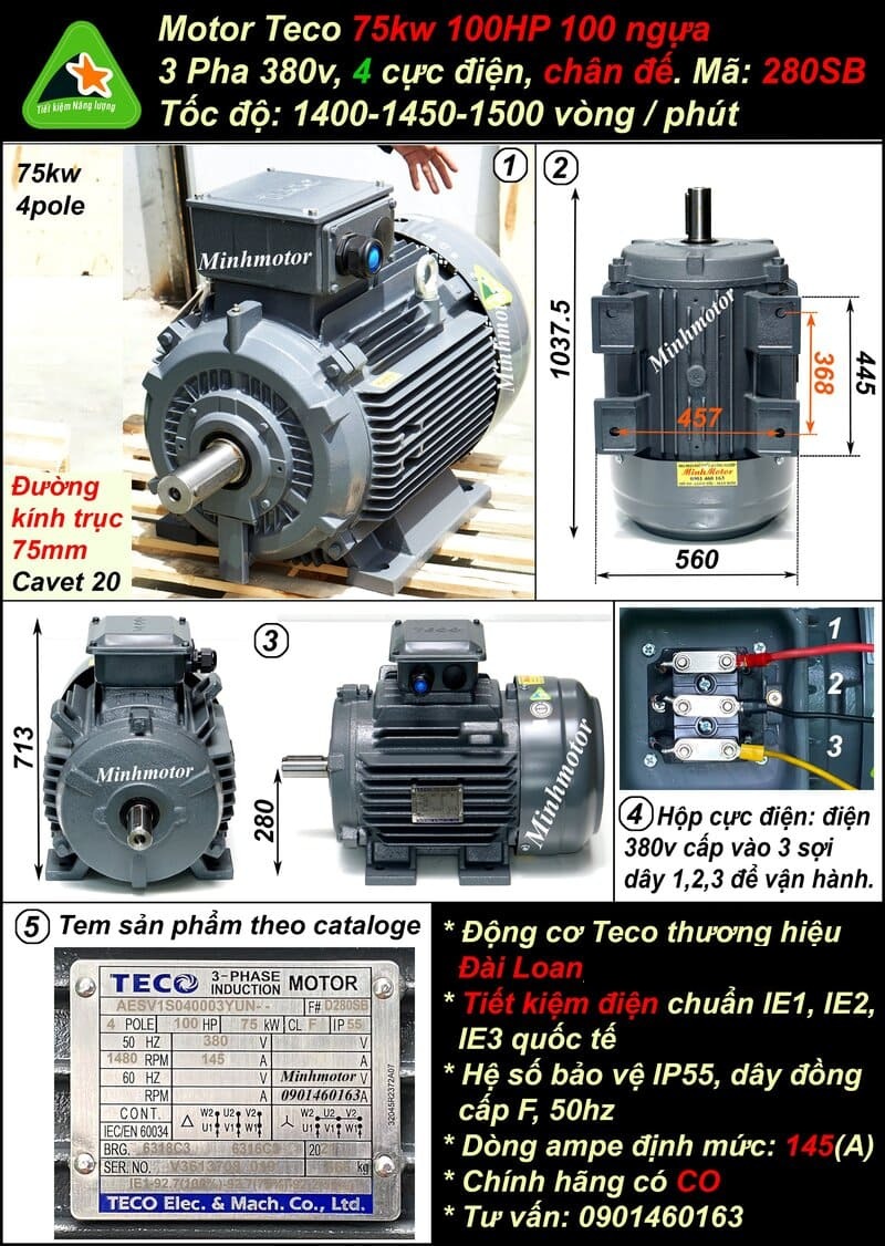 Motor Teco 100Hp AESV 280SB chân đế 4 pole IE1