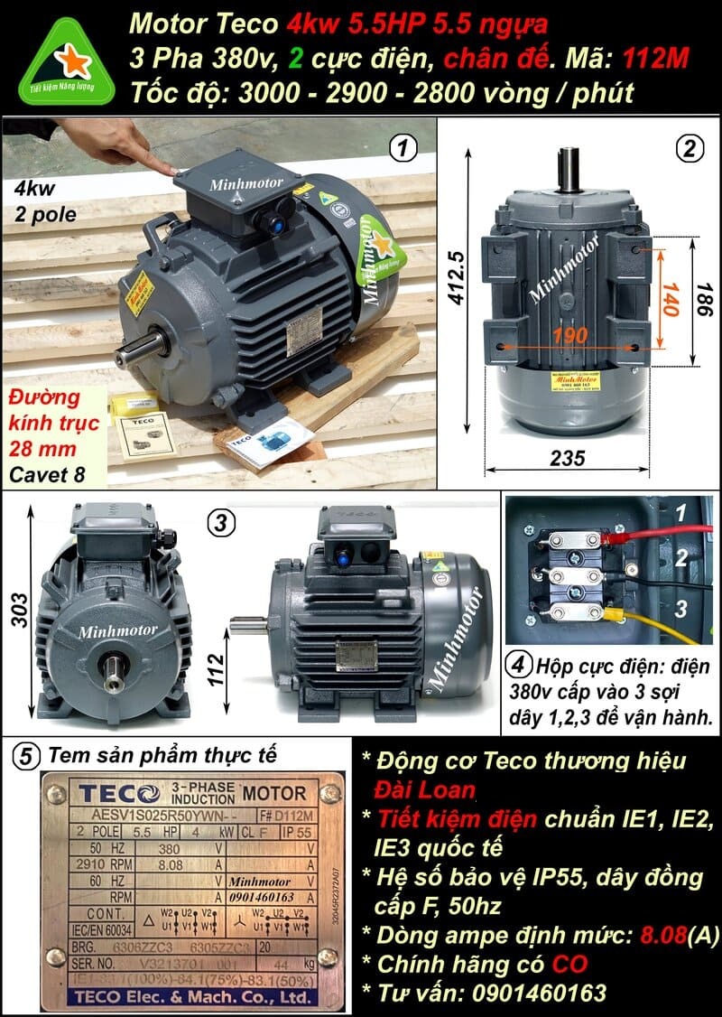 Động cơ Teco 4kw 5Hp AESV 112M chân đế 2 pole IE1