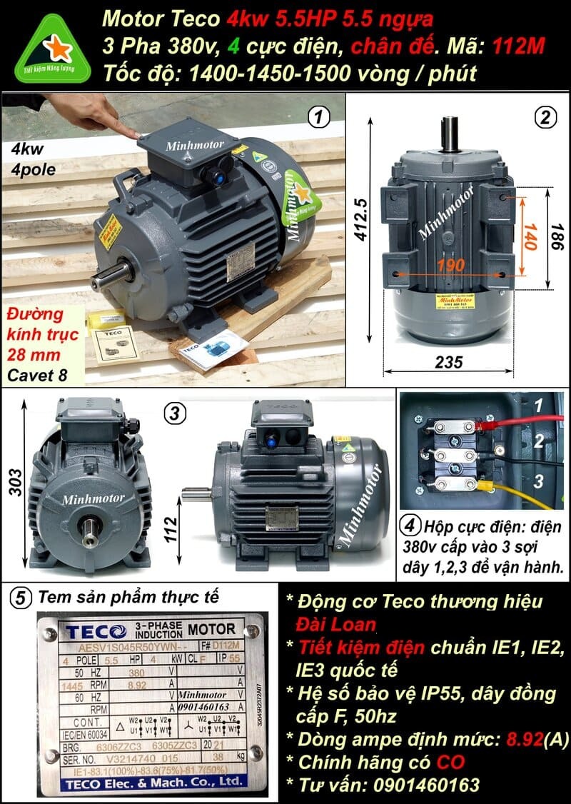 Motor Teco 1Hp AESV 80M chân đế 4 pole IE1