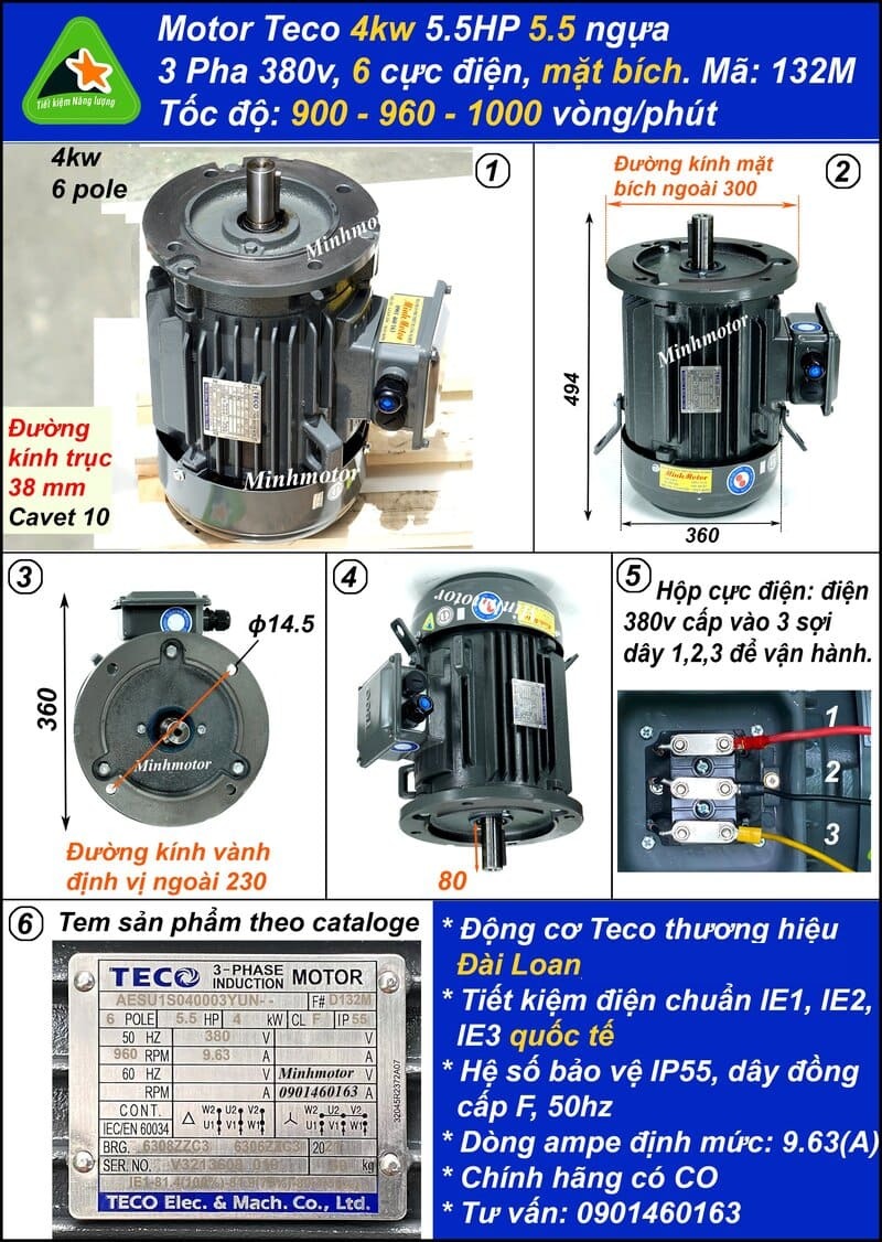 Động cơ Teco 4kw 3.7kw 5Hp AESU 132M mặt bích 6 pole IE1