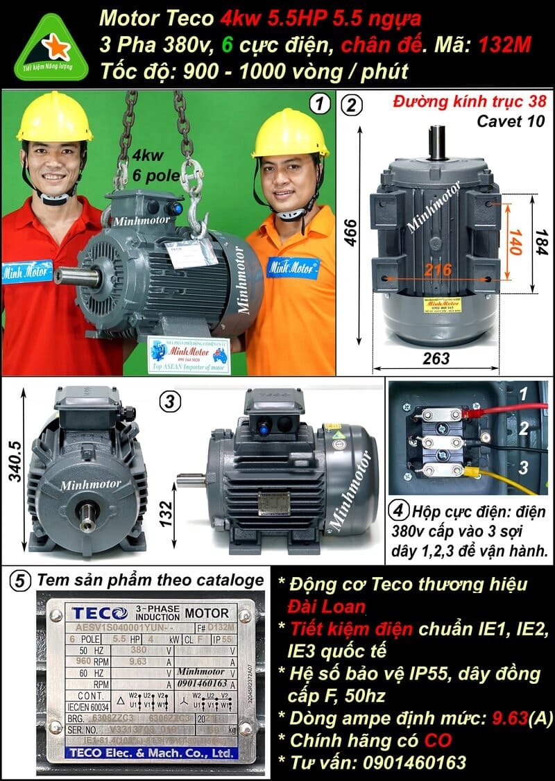 Motor Teco 4kw 3.7kw 5Hp AESU 132M chân đế 6 pole IE1